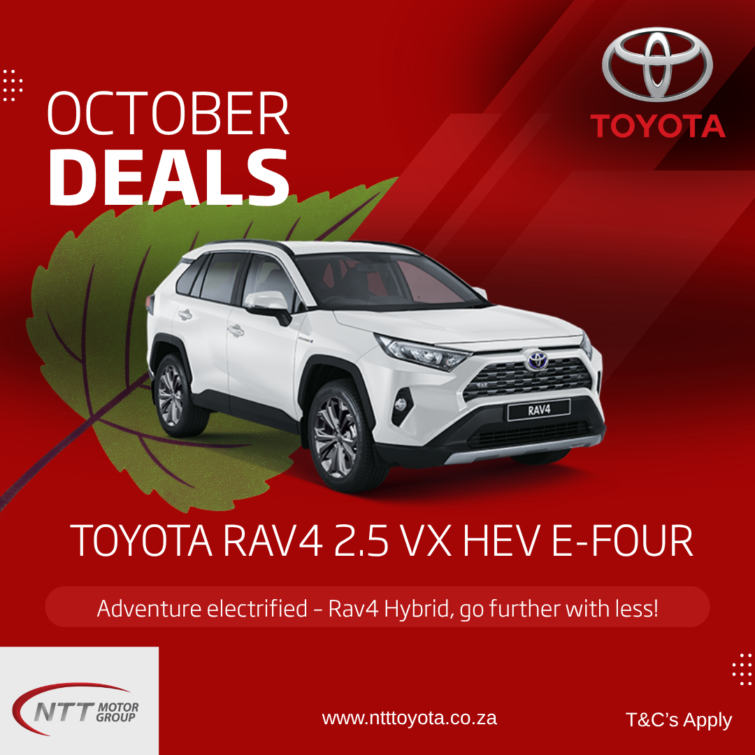 TOYOTA RAV4 2.5 VX HEV E-FOUR image from NTT Motor Group